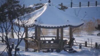 On the Scene -- Korean