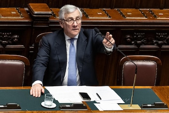 Imagen 24T4TDF6GZFGRFLLCKRF3OFVBE