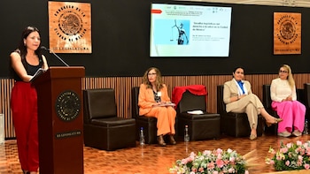 Congreso CDMX Valeria Cruz Flores Morena Trabajo Social