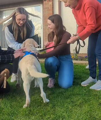 La perra Daisy regresó con