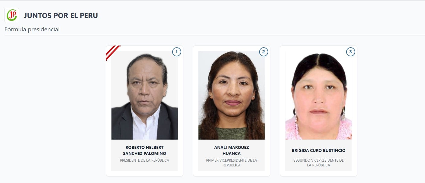 Lista de vicepresidentes en Perú 2026: estos son los acompañantes de cada candidato: Captura: ONPE.