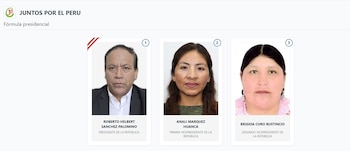 Lista de vicepresidentes en Perú 2026: estos son los acompañantes de cada candidato: Captura: ONPE.