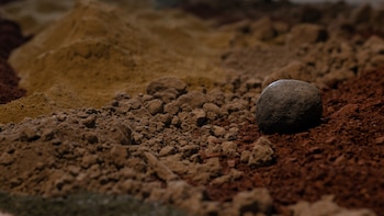“Reubicar barro, leña, maíz, alfalfa,