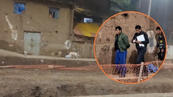 Hombre descuartizado en el Cusco: perros fueron alimentados con restos y detenido habría aceptado su participación
