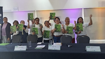 Ley muerta para trabajadoras del hogar que siguen en la informalidad: 96.6% carece de seguridad social efectiva