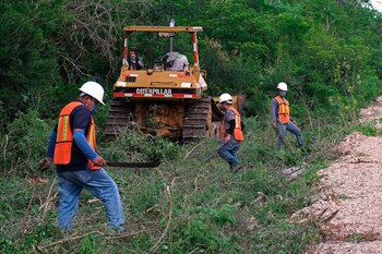 Operarios trabajan en la construcción