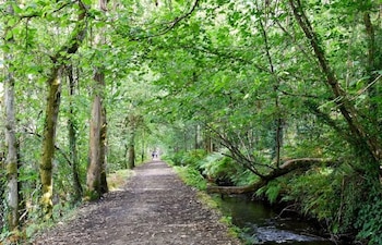 Souto da Retorta, en Lugo