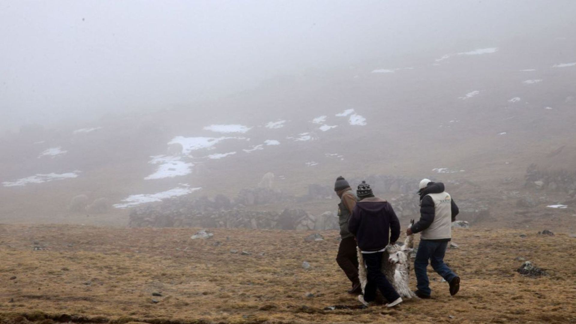 Se espera un descenso en la temperatura en la sierra centro y sur del país. (Foto: Andina)