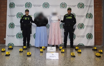 Las autoridades reportaron un caso similar menos de dos meses atrás en la misma terminal aérea - crédito Mebog