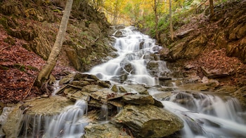 Lo que esconde la Selva
