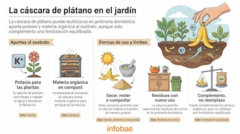 Infografía con ilustraciones de una cáscara de plátano en la tierra, plantas, una compostera, un mortero, una cocina y una balanza.