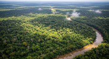 Una vista aérea muestra un denso bosque tropical verde y un río sinuoso de color marrón claro. Pequeñas nubes de niebla se elevan sobre el dosel.