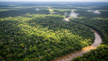 Con la mirada en la meta climática de 2030, Francia suma 157.000 hectáreas a su red de reservas biológicas