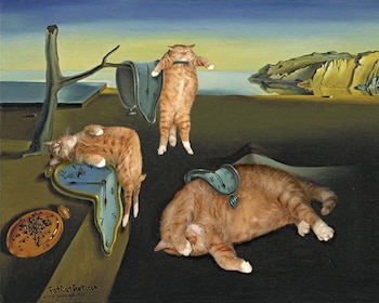 Su dueña se dio cuenta