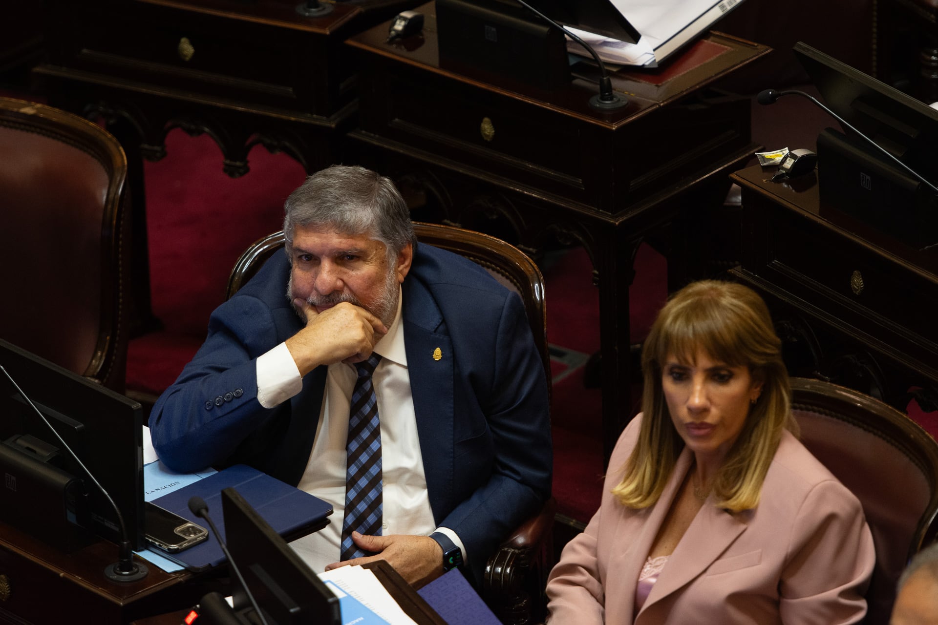 El jefe del Frente de Todos en el Senado, José Mayans (RS Fotos)