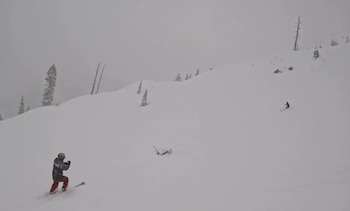 Promova a conscientização sobre segurança