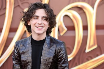 Cast member Timothee Chalamet attends a premiere for the film Wonka in Los Angeles, California, U.S. December 10, 2023. REUTERS/Mario Anzuoni