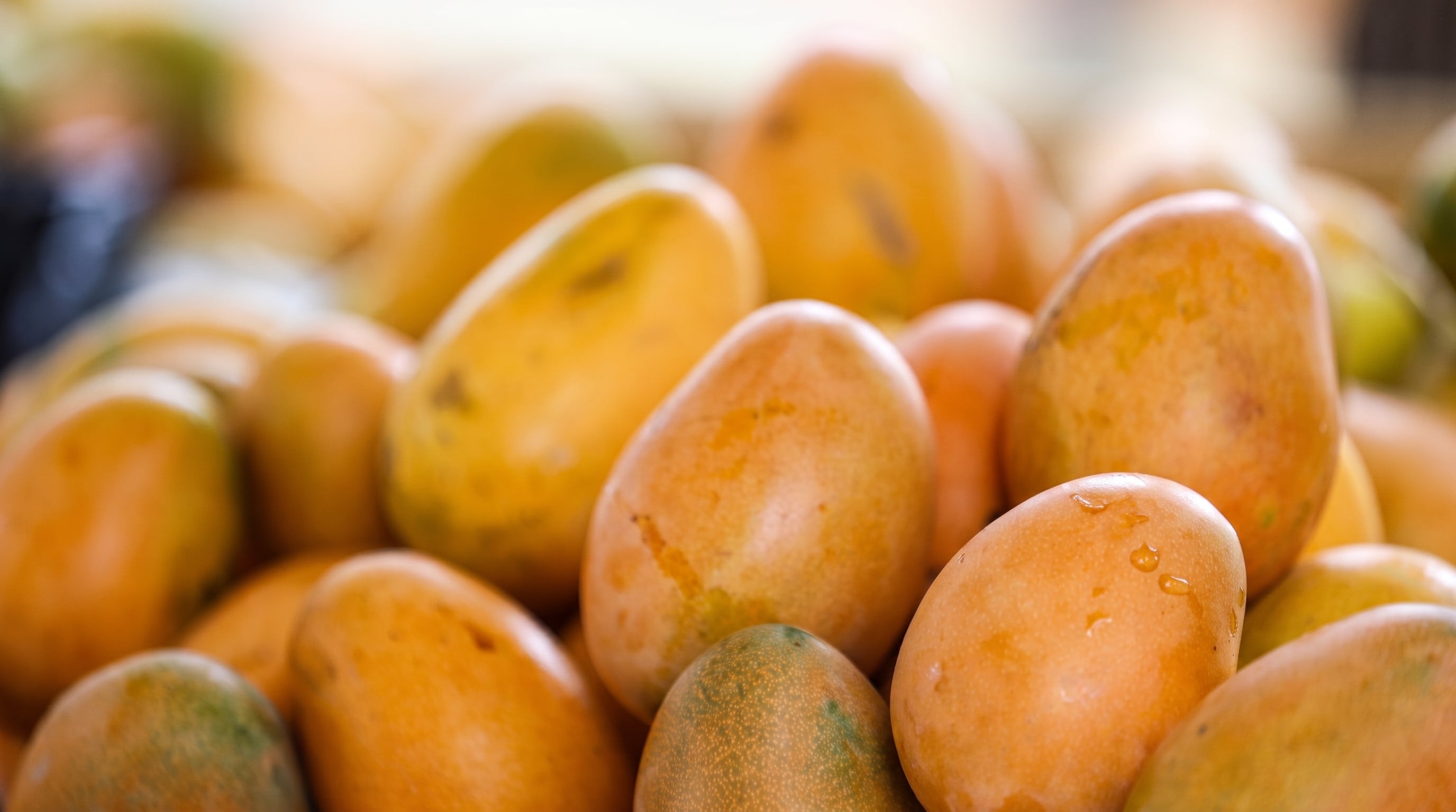 El veto de Estados Unidos al mango de Baní provocará pérdidas por USD 1,5 millones a República Dominicana