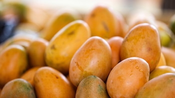 El veto de Estados Unidos al mango de Baní provocará pérdidas por USD 1,5 millones a República Dominicana