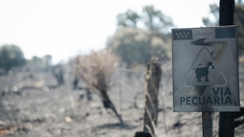 El incendio en Lozoyuela (Madrid) se estabiliza y baja al nivel 1: la UME se retira tras una evolución favorable