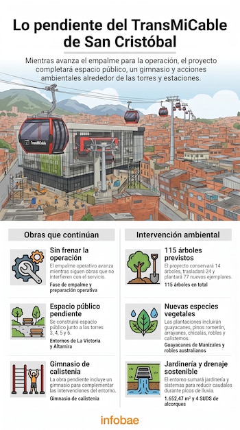Infografía con una ilustración del teleférico TransMiCable sobre un barrio urbano y seis recuadros con íconos sobre obras y vegetación.