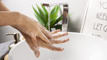 Esta combinación potencia la renovación