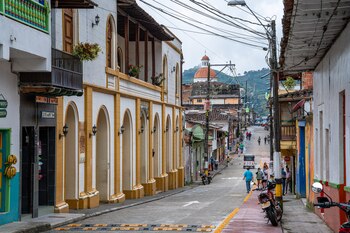 Los visitantes también pueden disfrutar