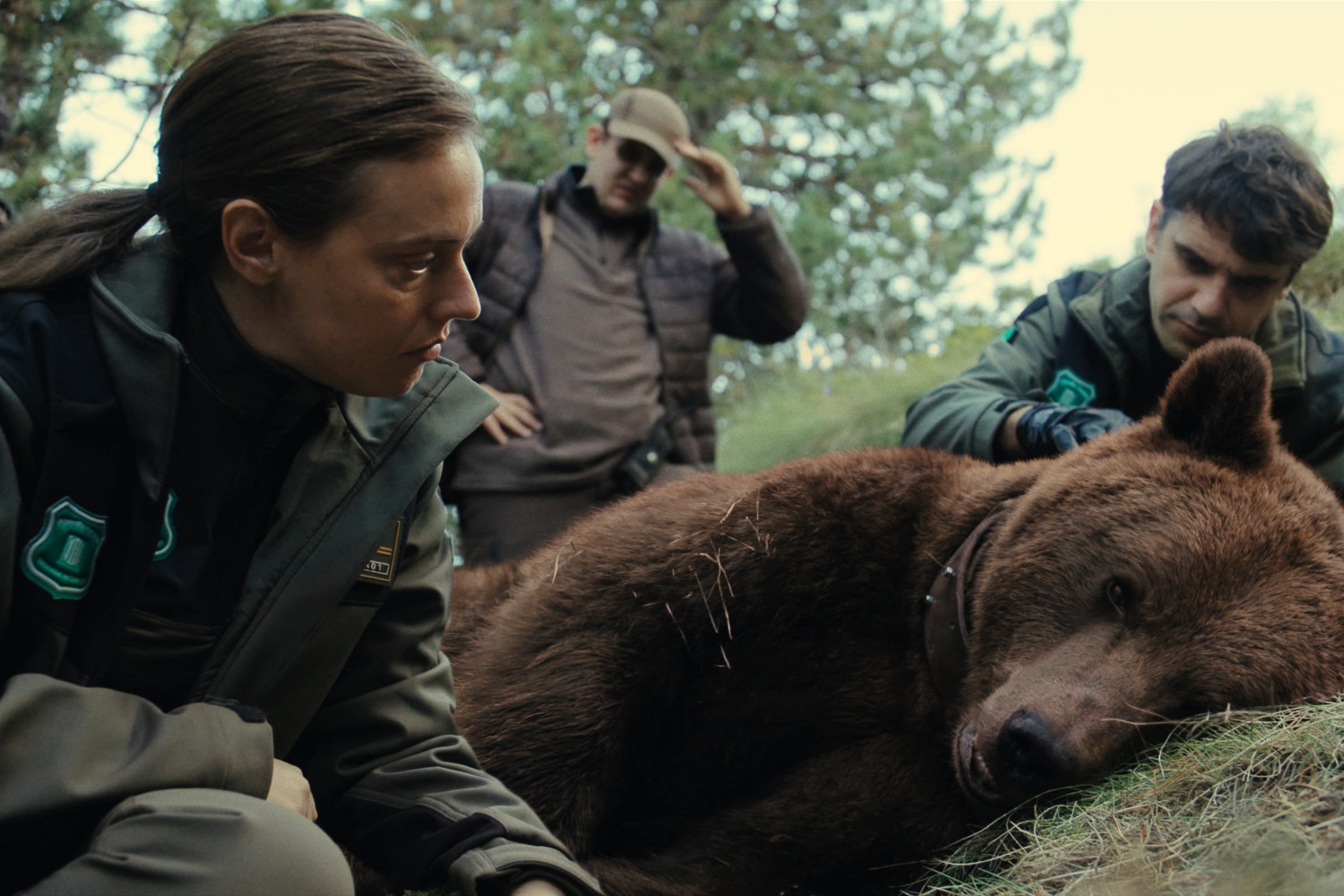 El asesinato del Oso Cachou se convierte en una adictiva serie para Movistar Plus: “Entre el naturalismo, el humor negro de los hermanos Coen y el policíaco”
