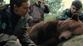El asesinato del Oso Cachou se convierte en una adictiva serie para Movistar Plus: “Entre el naturalismo, el humor negro de los hermanos Coen y el policíaco”