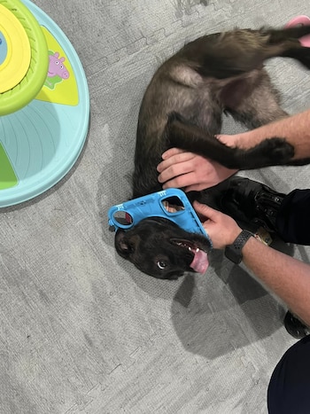 El equipo compartió las imágenes