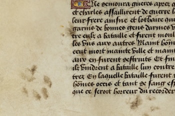 Las huellas de un gato