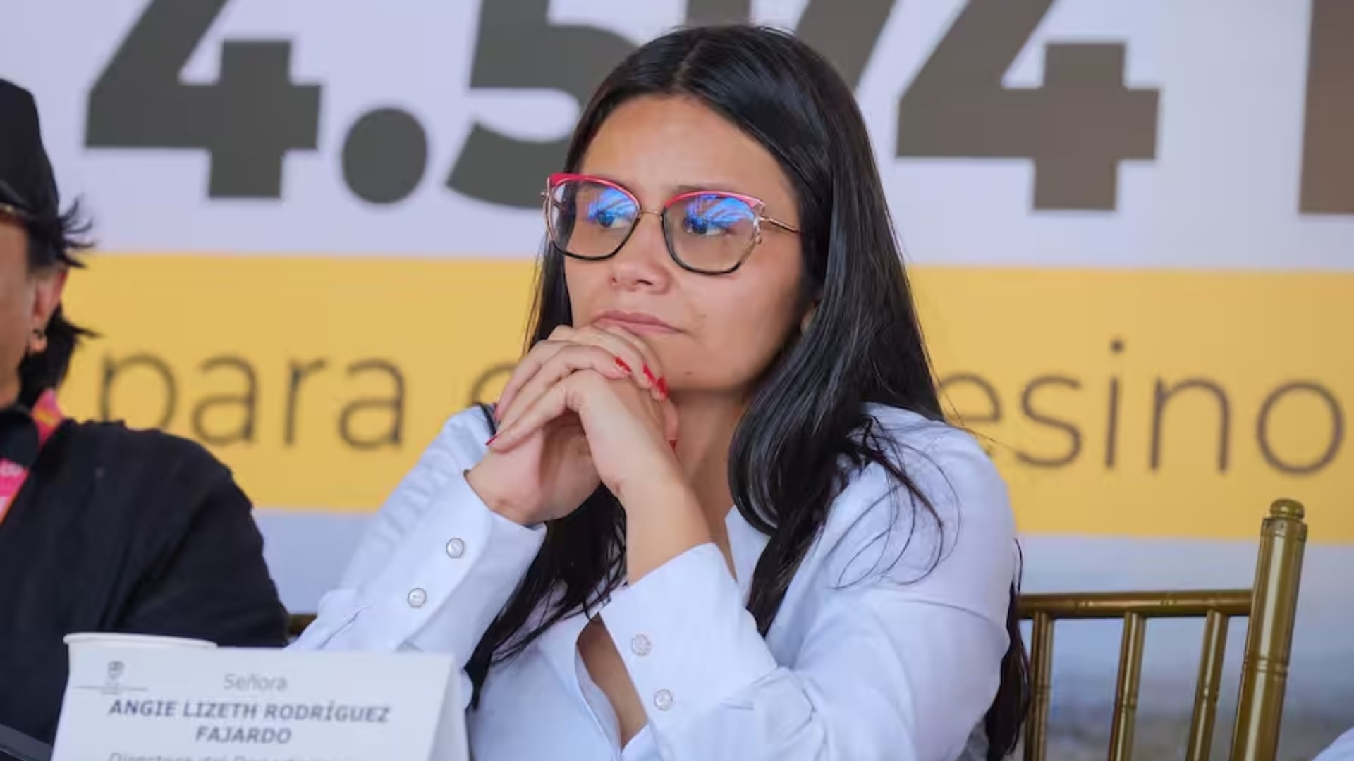 La funcionaria también demandó a Presidencia información clara sobre las medidas implementadas para resguardar su seguridad y derechos laborales - crédito Presidencia