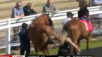 La espeluznante patada de un caballo a una mujer antes de una carrera en un hipódromo: “Accidente desafortunado”