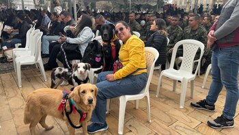 Más de cuatro años de