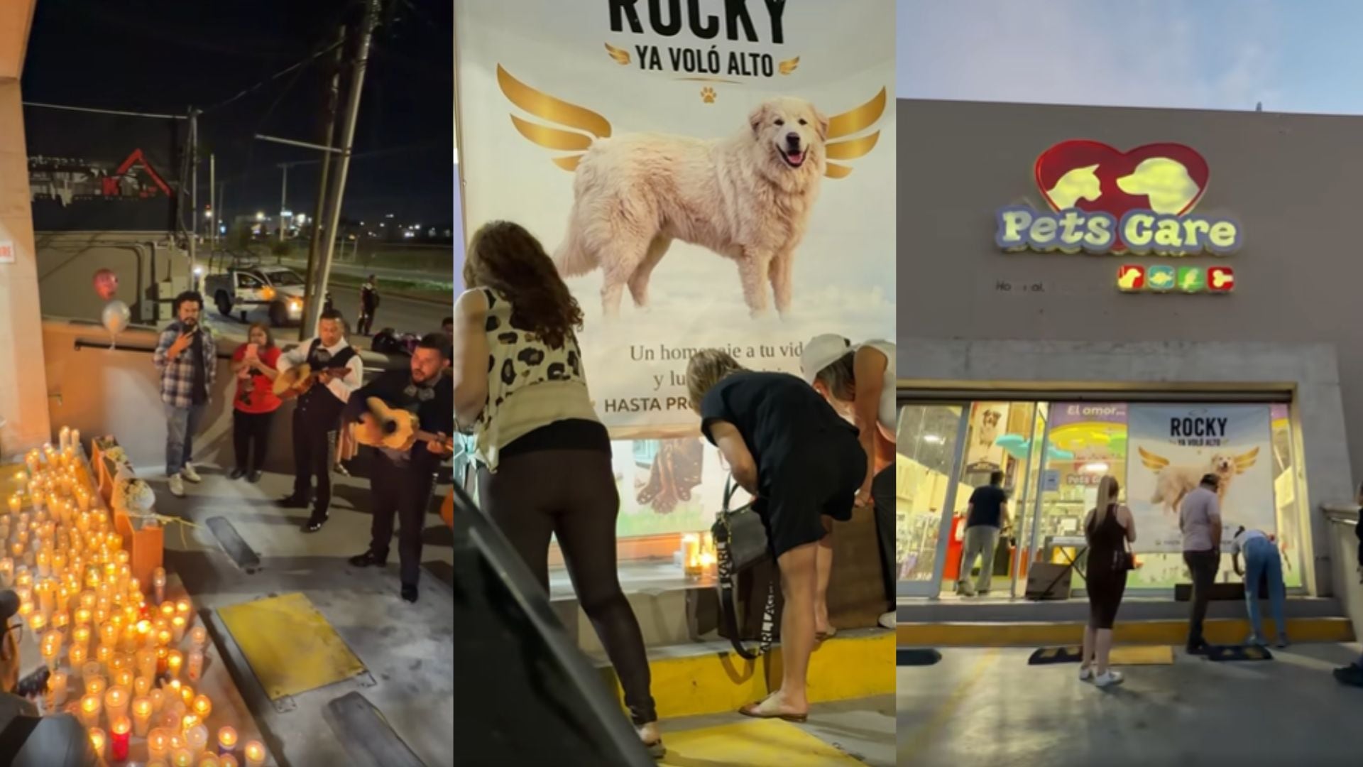 El perro Gran Pirineo, de 14 años, murió por un trauma medular agudo provocado por el arrastre. Su dueña, Liliana