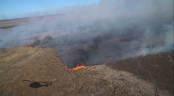 Los incendios en el Delta