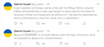 Gabriel Quadri criticó el proyecto