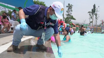 Minsa inspecciona piscinas para prevenir