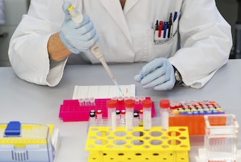 Los investigadores del MIT buscan desarrollar fármacos contra las enzimas DEGS1 y DEGS2 para bloquear la síntesis de ceramidas. (EFE/Daniel Bockwoldt)