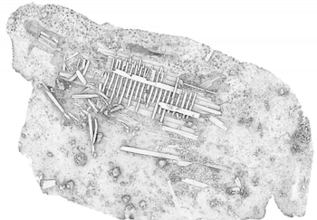 La nave constituye la mayor