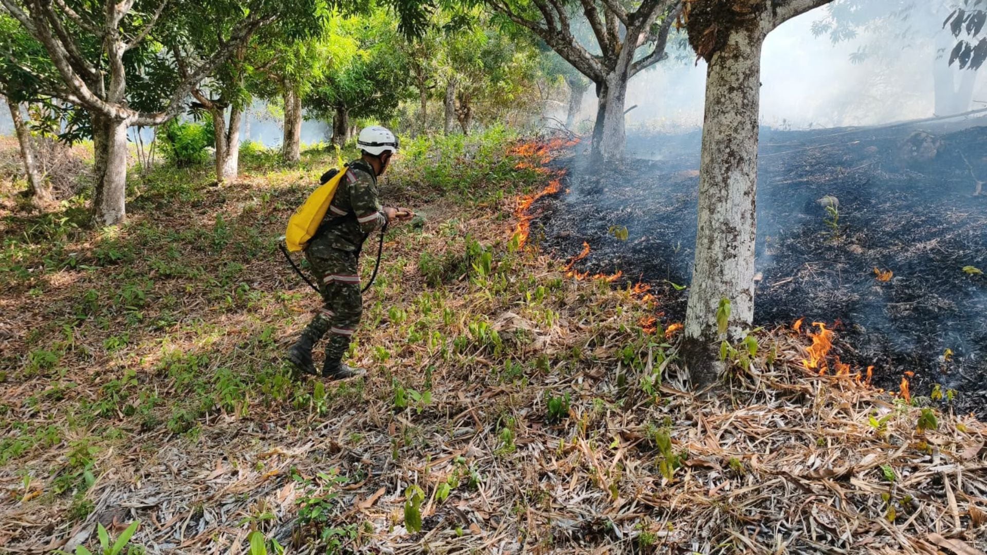 Alcaldías, gobernaciones, el Gobierno nacional, la Unidad Nacional para la Gestión del Riesgo de Desastres y demás instituciones siguen trabajando para controlar el fuego - crédito Ungrd