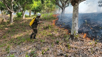 Incendios forestales - crédito Ungrd