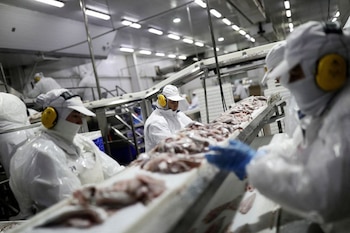 Según el diagnóstico oficial que acompañaba el proyecto, entre 2010 y 2023 la flota congeladora registraba necesidades operativas superiores a las cuotas de merluza originalmente asignadas (REUTERS/Juan Gonzalez/Archivo)