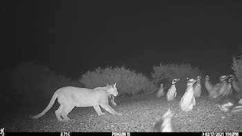 El Parque Nacional Monte León