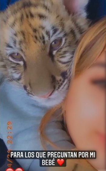 Mina Ayala presumió a su