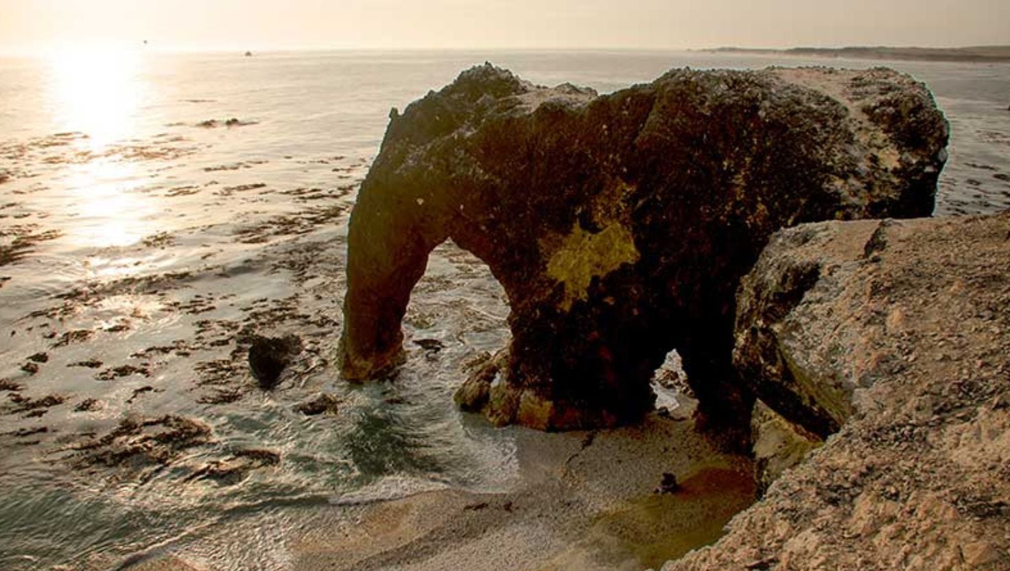 Marcona, ubicado a unos 530 kilómetros al sur de Lima, combina su tradición pesquera con grandes reservas de mineral de hierro y la presencia de dos áreas naturales protegidas: la Reserva Nacional de San Fernando y la Reserva Nacional Punta San Juan.