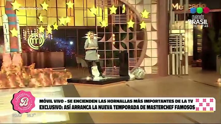Los 24 participantes realizaron su presentación en el estudio antes del estreno del reality por Telefe (A la Barbarossa, Telefe)