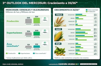 Mercosur: estimación de crecimiento de producción agrícola