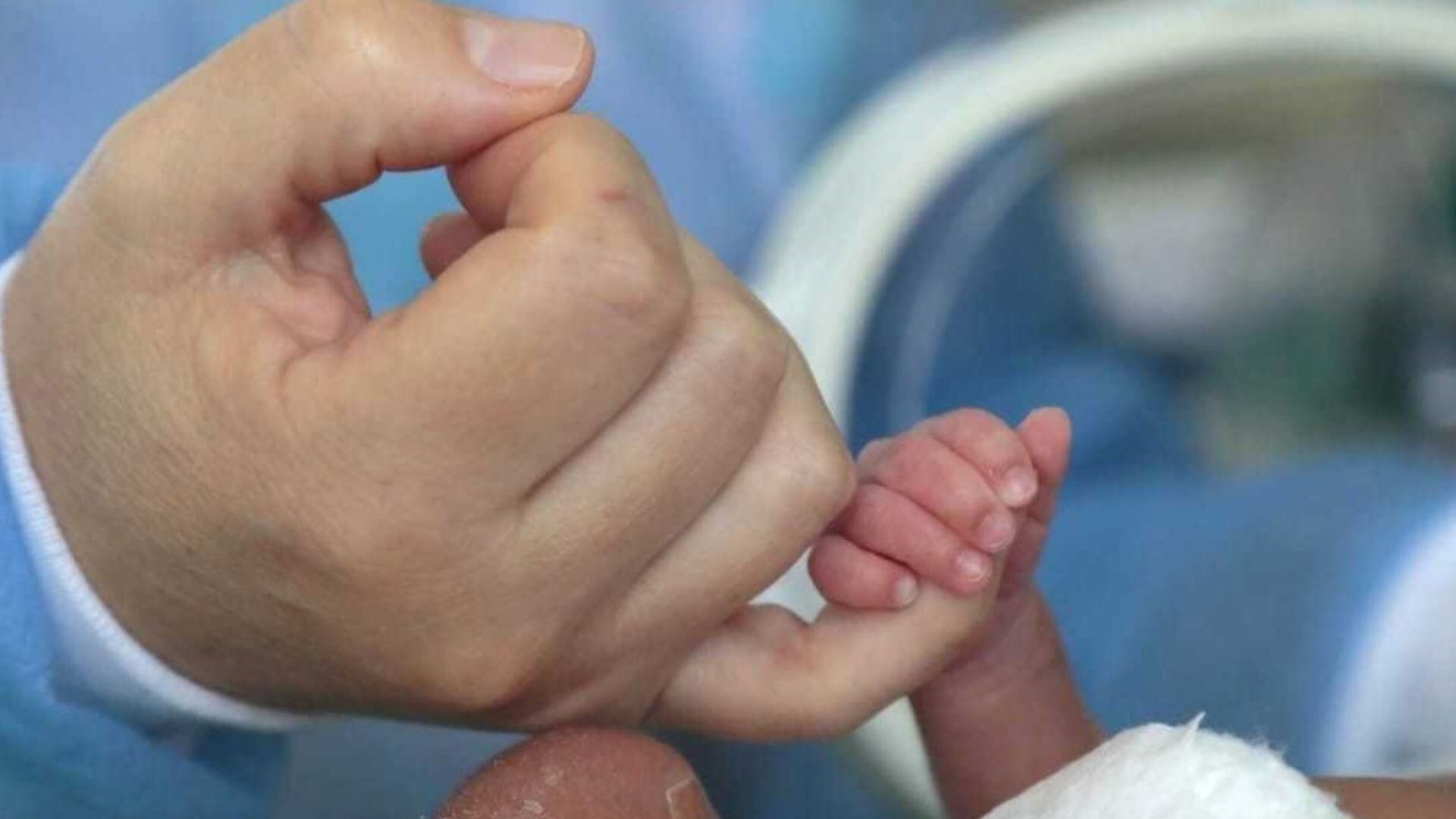 La Secretaría Nacional de Niñez, Adolescencia y Familia del Ministerio de Capital Humano creo el Programa Federal de Primera Instancia