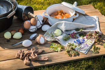 ILUSTRACIÓN - Los ingredientes para